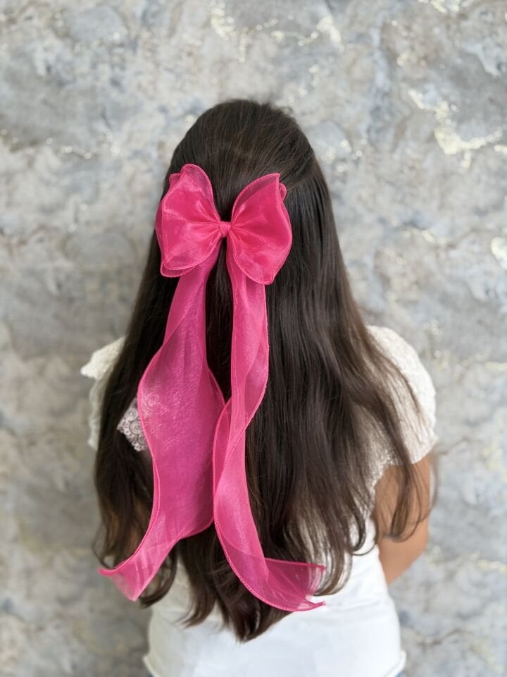 Uzun Kuyruklu Organze Tül Fiyonk