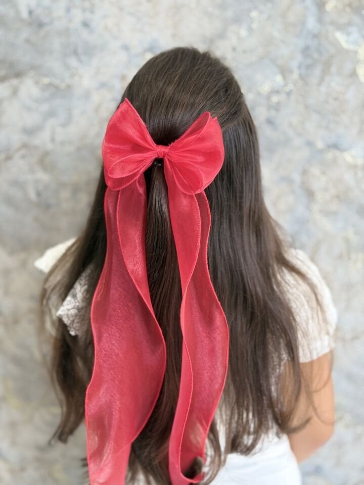 Uzun Kuyruklu Organze Tül Fiyonk