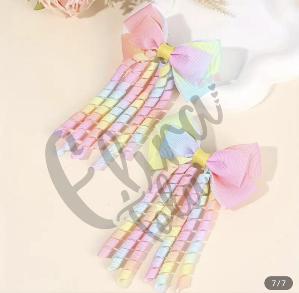 BURGULU RENGARENK 2 Lİ FİYONK PENS TOKA